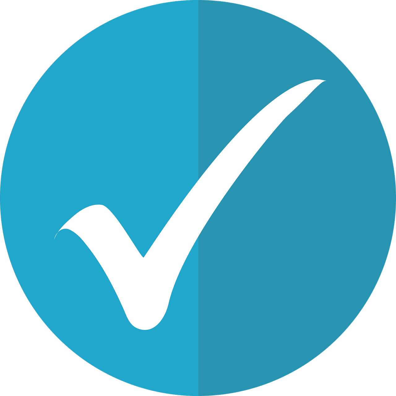 checkmark-icon-2797531_1280